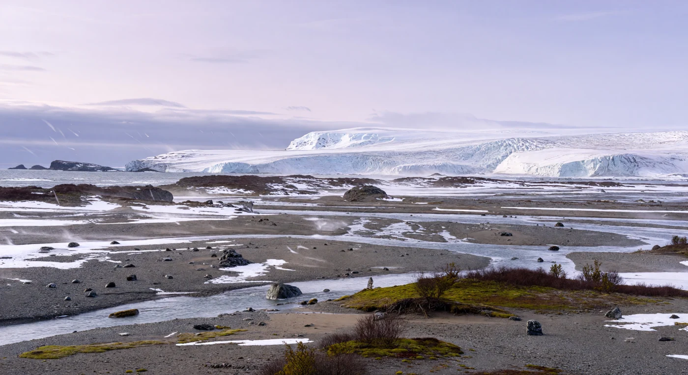 At the Eocene–Oligocene transition, about 34 million years ago, Antarctica was entering a profound climatic shift as the first large continental glaciers advanced across its subdued coastal plains. This scene shows bright valley glaciers feeding braided meltwater streams across a gravelly outwash plain, with only sparse, wind-pruned Nothofagus scrub and low mossy ground cover surviving at the margins. It captures the moment when Antarctica changed from a once forested Gondwanan landscape into the cold, ice-dominated continent we know today.