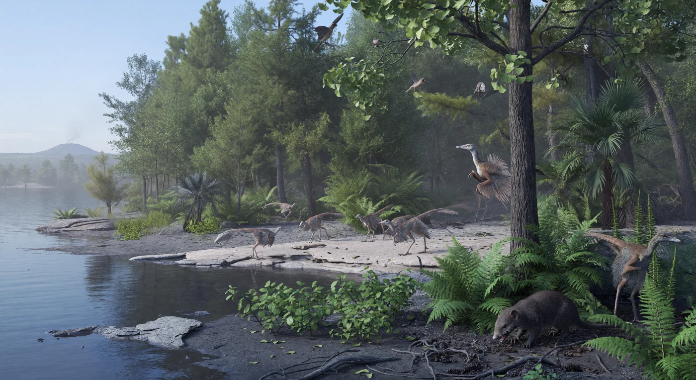 Am Ufer eines flachen Sees im Nordosten Chinas zeigt diese Szene ein stilles Waldland der Jehol-Biota vor etwa 125 Millionen Jahren, im Unteren Kreidezeitalter der Yixian-Formation, wo feiner Vulkanaschefall das Licht dämpft und die Grüntöne grau überhaucht. Zwischen Ginkgos, Nadelbäumen, Baumfarnen und niedrigen frühen Blütenpflanzen suchen mehrere Caudipteryx – kleine, federbedeckte Oviraptorosaurier mit schnabelartigen Kiefern und auffälligen Schwanzfächern – nach Nahrung, während in den Ästen urtümliche Vögel wie Enantiornithes flattern. Am Boden durchstreift zugleich Repenomamus, ein kräftiges eutriconodontes Säugetier von etwa fuchsgroßer Statur, das Farnpolster und Asche nach Beute absucht. Diese außergewöhnlich gut erhaltenen Fossilien aus der Jehol-Region bewahren einen Moment aus einer kühlen, vulkanisch geprägten Kreidewelt, in der Dinosaurier, frühe Vögel und Säugetiere bereits eng nebeneinander lebten.