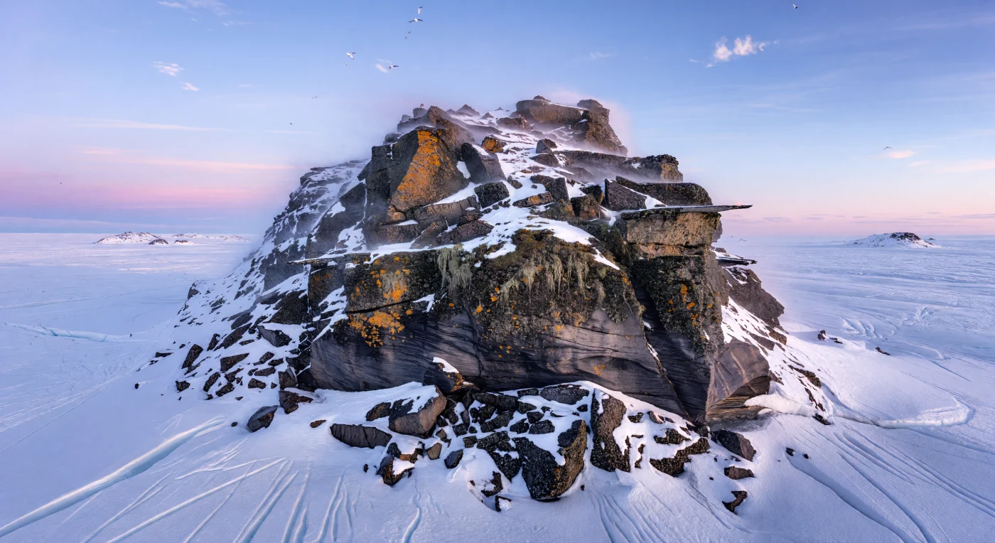 In questa scena del tardo Pleistocene, tra circa 126.000 e 11.700 anni fa, un nunatak scuro di gneiss e granito precambriani emerge come un’isola rocciosa da una vasta calotta glaciale continentale simile a quelle laurenziana o groenlandese. Le pareti levigate e striate dal ghiaccio, i ghiaioni gelifratti e le sottili colature di fusione ospitano solo forme di vita estremamente resistenti: licheni come Xanthoria, Usnea e crostosi neri, insieme a piccoli cuscini di muschi quali Bryum e Ceratodon purpureus. In questo deserto polare battuto dal vento, quasi privo di vertebrati, la sopravvivenza si aggrappa alla pietra nuda, evocando un mondo glaciale di freddo estremo, luce radente e tempo profondo.